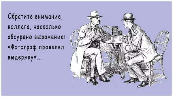 Абсурдные утверждения. Нелепые высказывания. Абсурдные утверждения. Глупые цитаты. Философия абсурда.