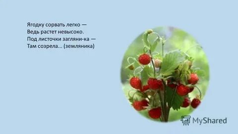 Алый сарафан белые крапинки