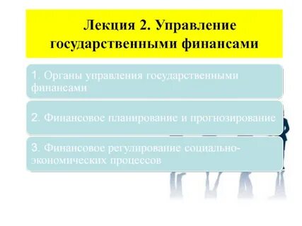 Управление финансами государственных муниципальных учреждений