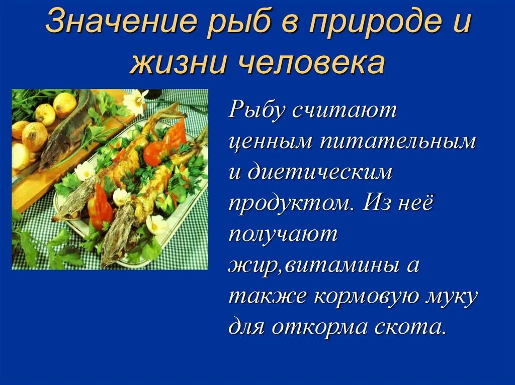 Значение рыб в жизни человека. Значение рыб для человека. Значение рыб в природе и для человека. Значение рыбных блюд в питании человека кратко. Значение рыбы в питании