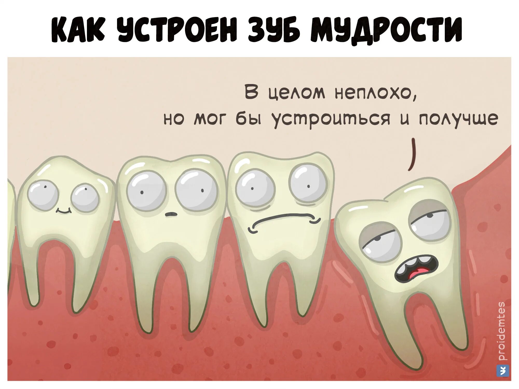 Скоро к зубам приберу синоним. Скоро к зубам приберу синоним