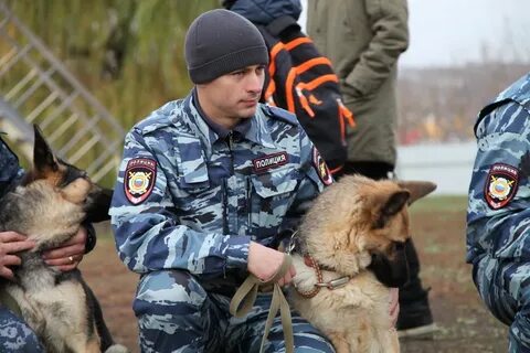 Поступление на кинолога