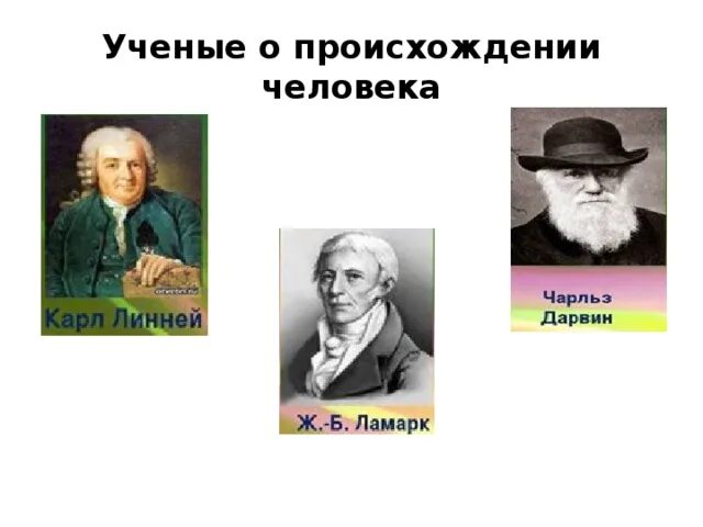 Ученые о происхождении человека. Фамилии ученых. Ученые происхождение человека кратко. Ученые о происхождении человека таблица. Изучает происхождение народа