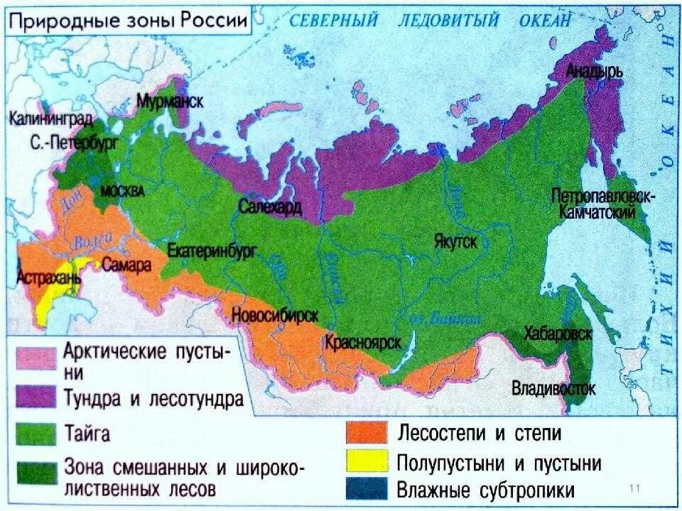 Природные зоны и биологические ресурсы россии