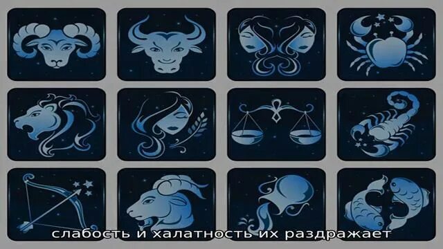 Ролики про знаки зодиака. Ролики про знаки зодиака. Знаки зодиака смешные. Вечеринка в стиле знаков зодиака. Ролики про знаки зодиака.