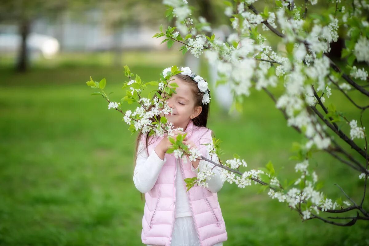 кот на окне. пахнет весной. весенние пахнущие цветы. весенние запахи. весенние запахи.