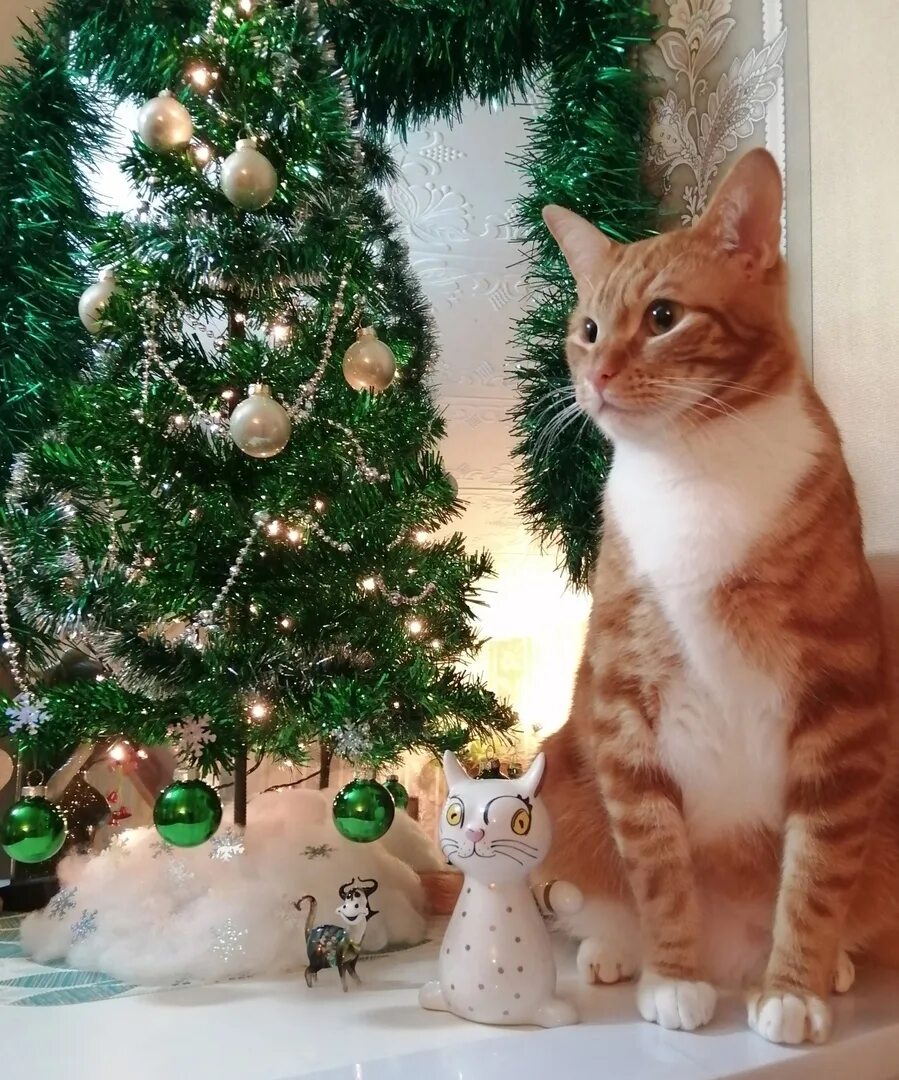 Подарки под ёлкой. Наш первый новый год с малышом. Под елочкой сидим. Дети под елкой с подарками. Дети мальчики распаковывают подарки на новый год.