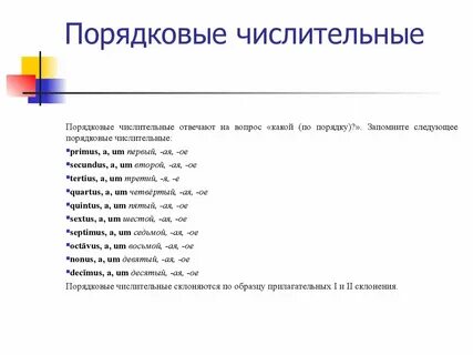 Укажите номер строфы порядковое числительное