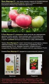 Пинк гарант