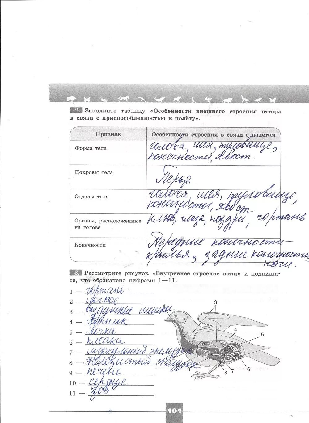 Класс птицы 7 класс рабочая тетрадь. Внутреннее строение птицы биология 7 класс Пасечник. Биология 7 класс Пасечник рабочая тетрадь стр 73. Лабораторная работа по птицам. Внешнее строение птицы 7 класс Пасечник.