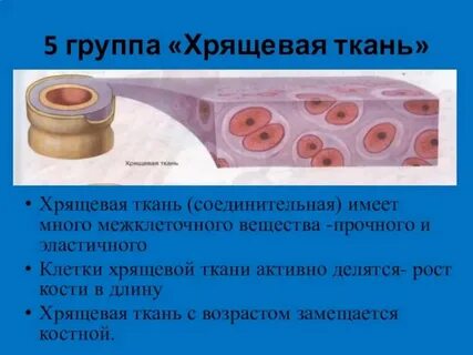 Чем заполнены межклетники при разрушении межклеточного вещества