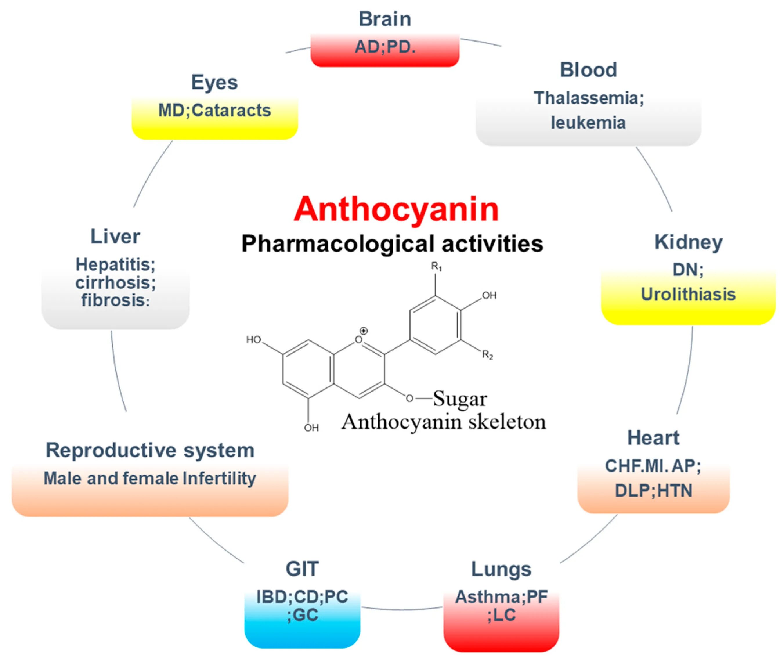 Antioxidant journal