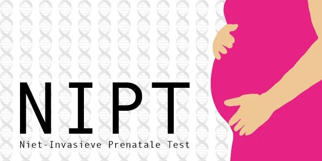 Тест днк беременным. NIPT тест. НИПТ пол ребенка. НИПТ при беременности пол ребенка. Пол картинка для детей.