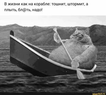 a cat is sitting in a boat on the water.