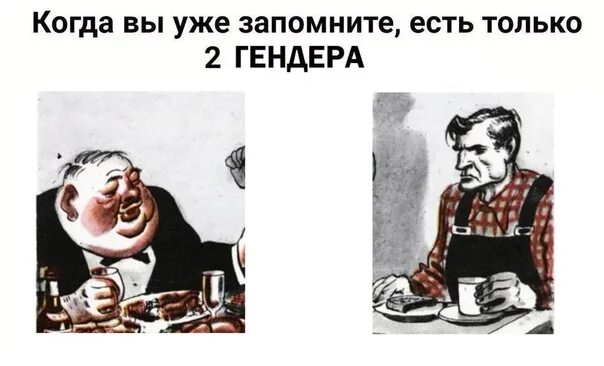 Есть только два гендера. Существует только два гендера. есть всего 2 гендера. есть только два гендера мем. есть только 3 гендера.