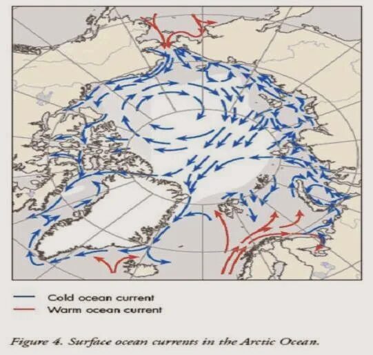 Основные морские течения Северного Ледовитого океана. Течения Северного Ледовитого океана на карте. Северный Ледовитый океан течение схема течений. Схема течений Северного Ледовитого океана. Теплое течение ледовитого океана