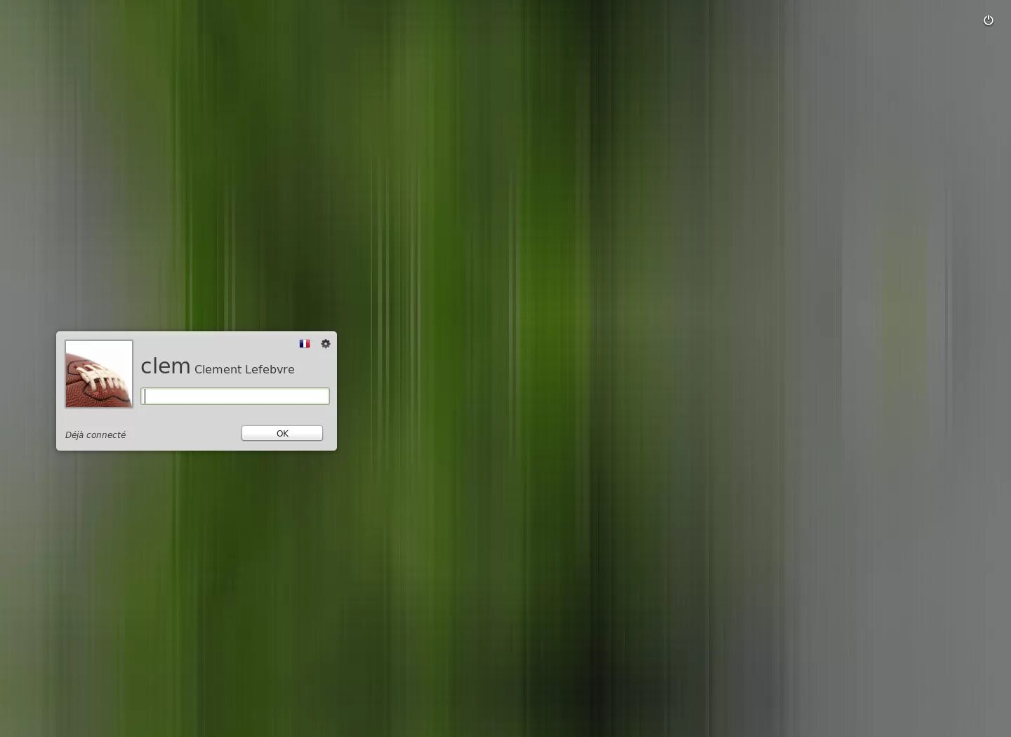 Failed to start display manager