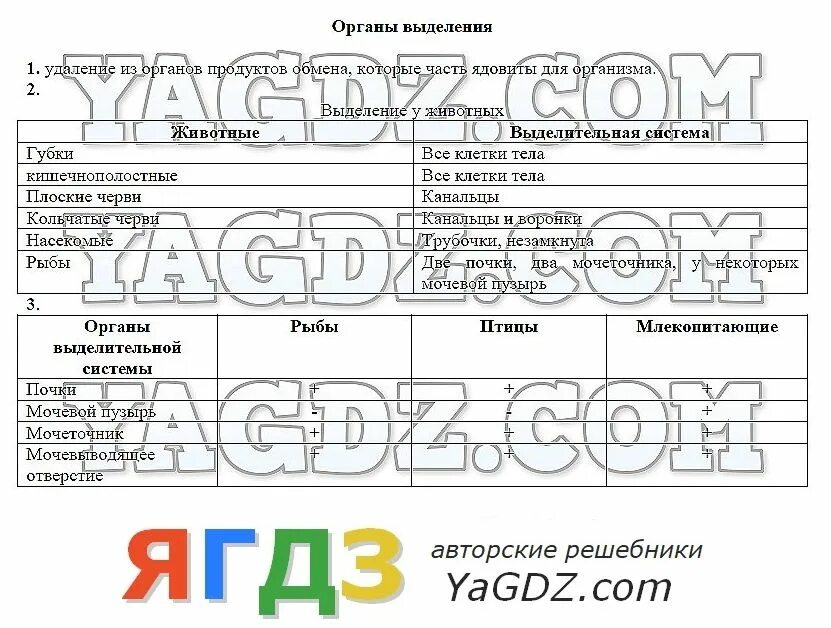 Тест по биологии выделение у растений. Органы выделения животных таблица. Органы выделения 7 класс. Органы выделения таблица 7 класс биология. Выделительная система простейших таблица.