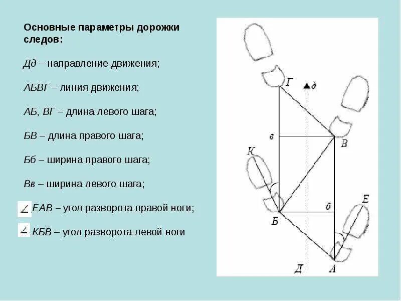 Элементы дорожки следов ног. Схема следа обуви криминалистика. Изъятие поверхностных следов ног криминалистика. Экспертиза следов ног человека криминалистика. Отпечаток следа ноги криминалистика.