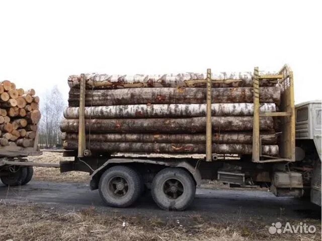 Скания лесовоз дрова береза. Дрова длинномером. Дрова колотые в амуре 2. Дрова длинномером. Дрова длинномером.