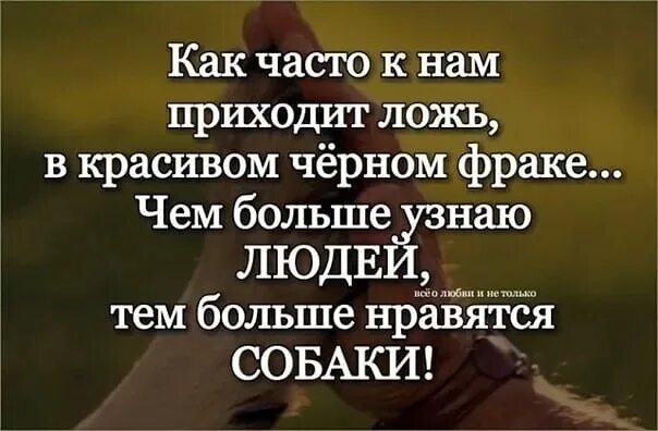 Жизнь во лжи 18. Чём больше узнаю людей тем больше нравятся собаки. Чем больше я узнаю людей тем больше. Чем больше я узнаю людей тем больше я люблю собак. Картинка чем больше узнаю людей тем больше нравятся собаки.