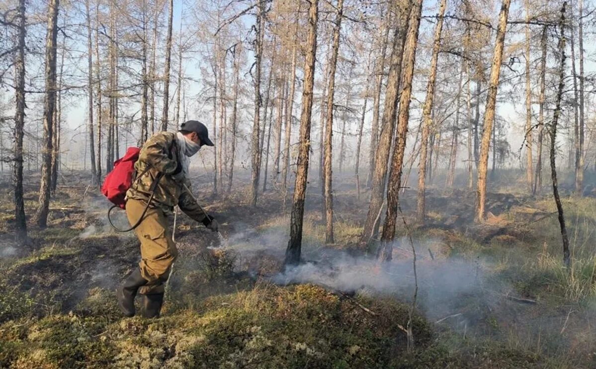 Пожары в Якутии 2021. Лесные пожары. Природные пожары в Якутии. Лесные пожары в ЕАО.