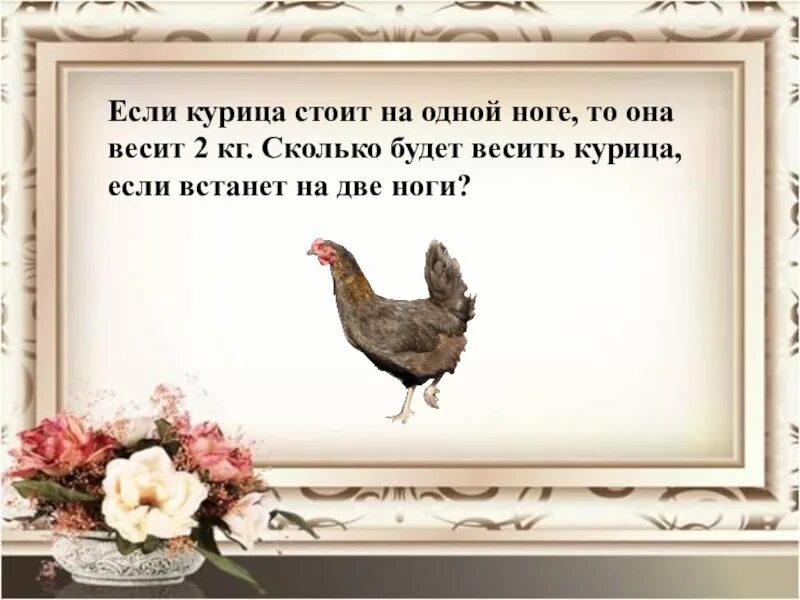 Курица на одной ноге. Сколько весит курица на одной ноге. Курица стоит на одной ноге. 1 курица весит