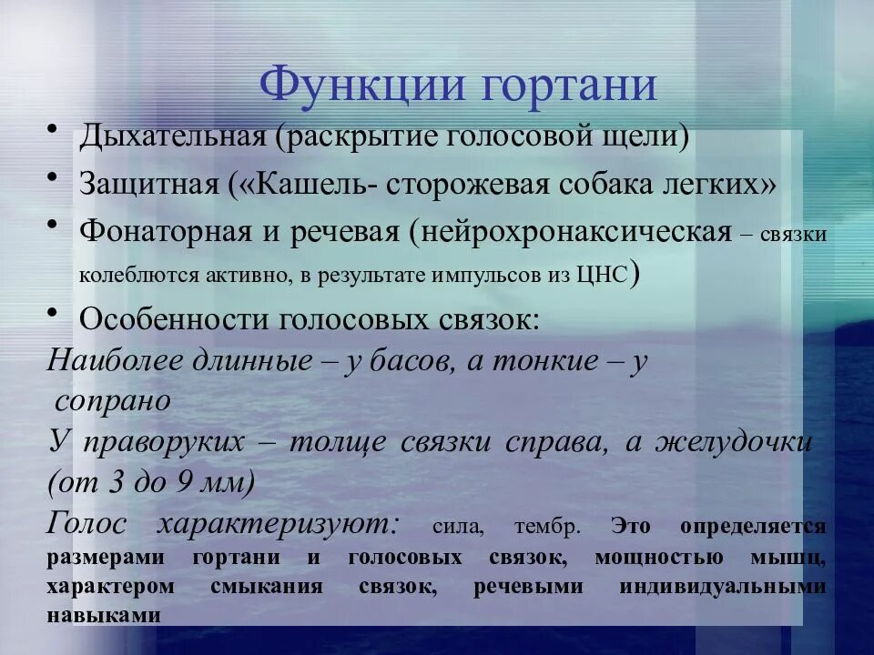 Гортань функции кратко. Функции гортани. гортань функции гортани. функции гортани человека кратко. функции гортани в дыхательной системе.