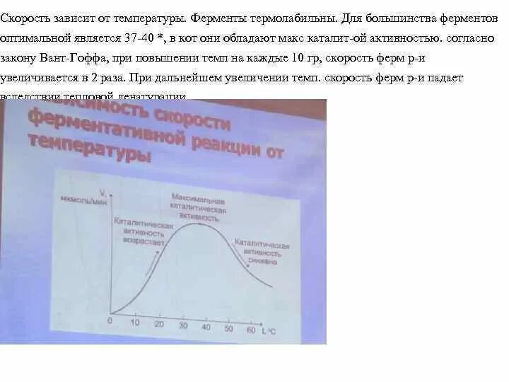 Зависимость скорости фермента от температуры. Зависимость активности ферментов от температуры. Скорость зависит от температуры ферментов. При понижении температуры активность ферментов. Изменение температуры ферментов