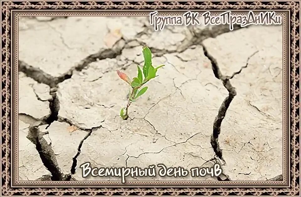 Со дня на день очерствевает сердечная почва. День почв. международный день почв. 5 декабря день почв. картина всемирный день почв.