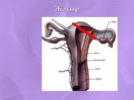 Ескі, өте кең вагинаның порнофотосуреттері