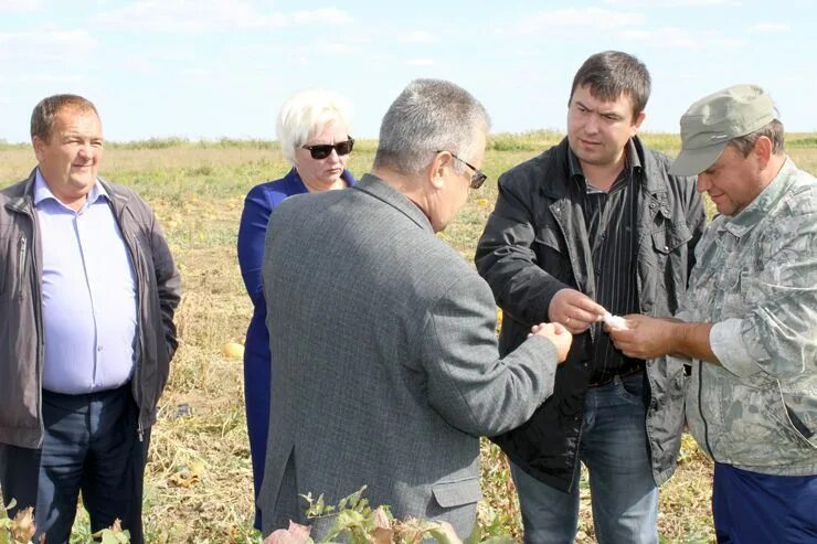 Погода золотари палласовский район. Поселок Золотари Палласовского района школа. Волгоградская область Палласовский район село Кайсацкое. Золотари Палласовский район Волгоградская. Село Савинка Палласовский район Волгоградская область.