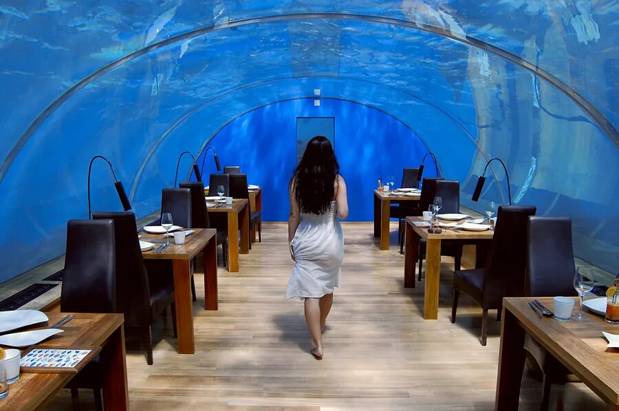 8 undersea подводный ресторан мальдивы. Кафе под водой. Ресторан ithaa undersea мальдивы. Подводный ресторан ithaa undersea restaurant. Ossiano ресторан дубай.