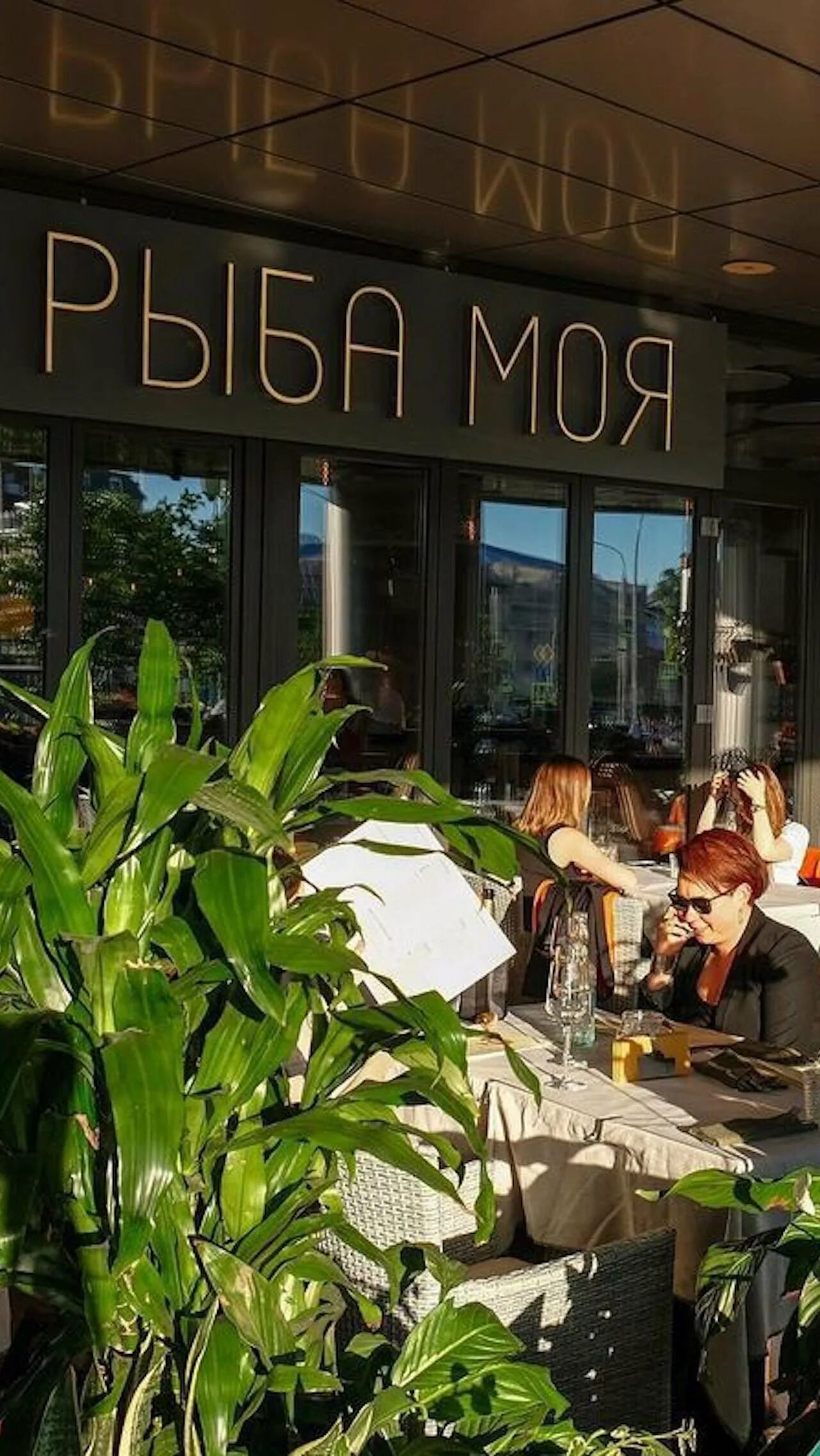 Второй ресторан "Рыба моя" на Цветном бульваре и обновлённое меню Городская еда 