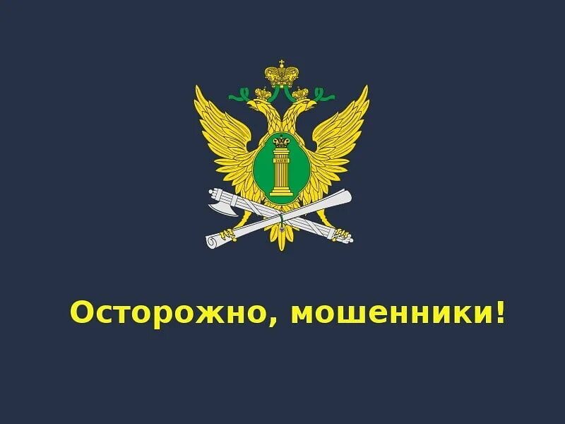 Судебные приставы. Винный пристав. Приставы дома. Приставы 24. Приставы 24.