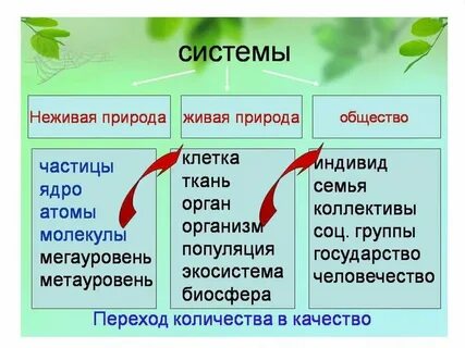 Какие есть системы в природе