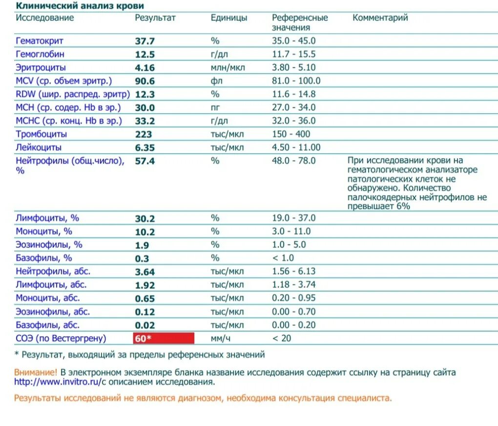 Оценка результатов крови. Общий анализ крови Результаты. Клинический анализ крови пример. Результаты исследования общего анализа крови. Результаты анализов общий анализ крови.
