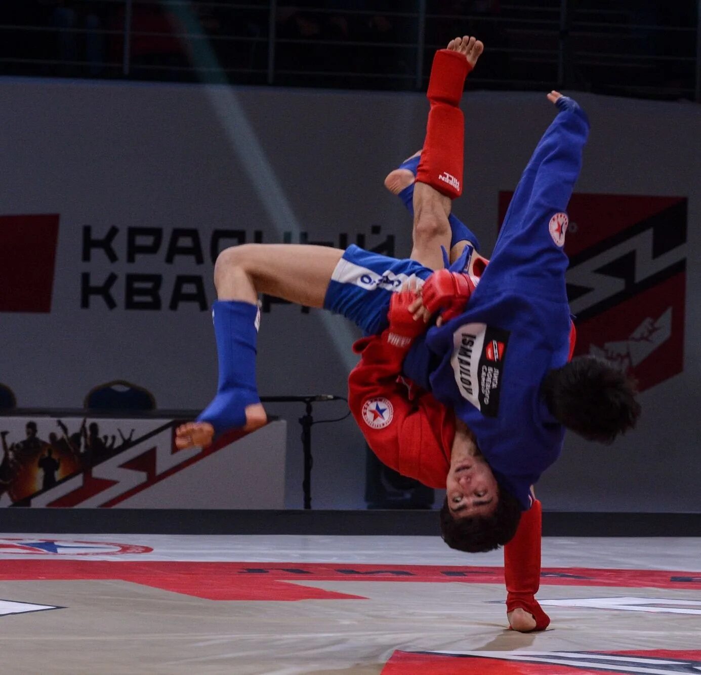 Самбо вид единоборств. Самбо боевое искусство. Самбо вид единоборств. Соревнования по боевому самбо. Самбо вид единоборств.