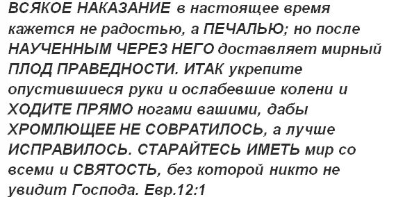 Всякое наказание в настоящее время кажется не радостью. Божье наказание. Всякое наказание в настоящее время кажется не радостью а печалью. Мне кажется время есть текст