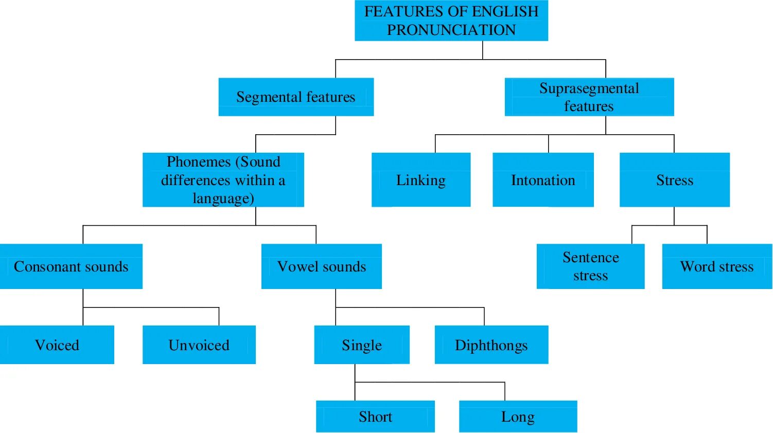 Study english pronunciation. Features of pronunciation. segmental features. features of english. segmental units of the language.
