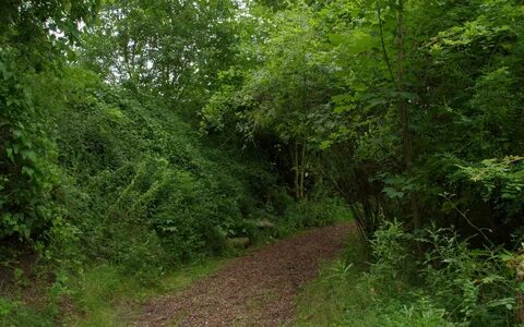 Section path
