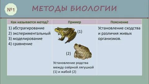 Впр по биологии 8 концентрическая 2024