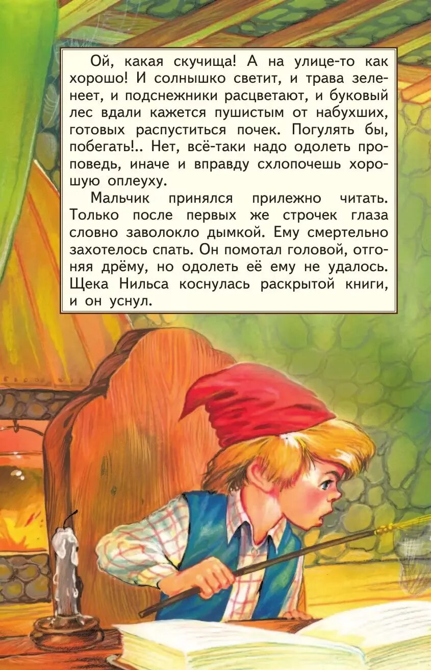 Отзыв по книге путешествие Нильса. 2011 Путешествие Нильса Мацыгин. Название сочинений про книгу путешествие Нильса. Отзывы о книге Нильса. Отзыв нильса с дикими