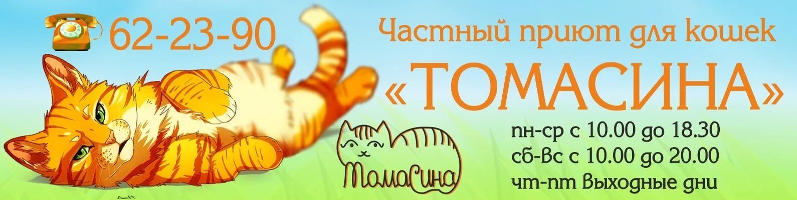 Приют для кошек томасина. Приют Томасина Иркутск. Кошачий приют Томасина Иркутск. Томасина адрес приюта в Хомутово.