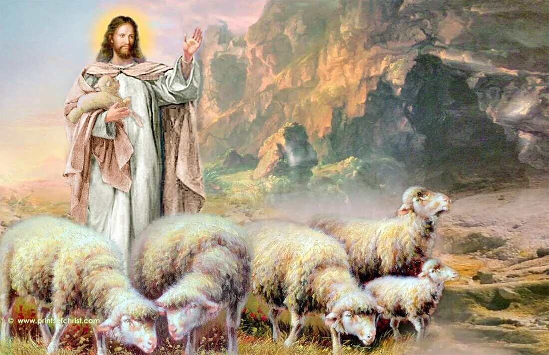 Иисус пастырь. Иисус Христос с агнцем. Иисус Христос пастух овец. Иисус Христос с овечкой. Добрый Пастырь Агнец.