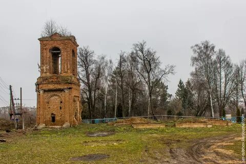 Погода селиваново щекинский тульская