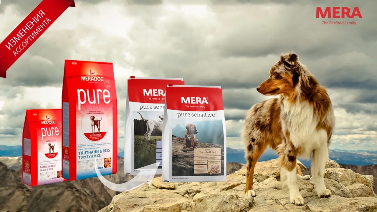 Mera Holistic корм для собак. Корм Mera для щенков. Сухой корм Mera Pure sensitive Dog Senior Truthahn & Reis. Мерадог корм для кошек. Мираторг корм для собак 10 кг купить