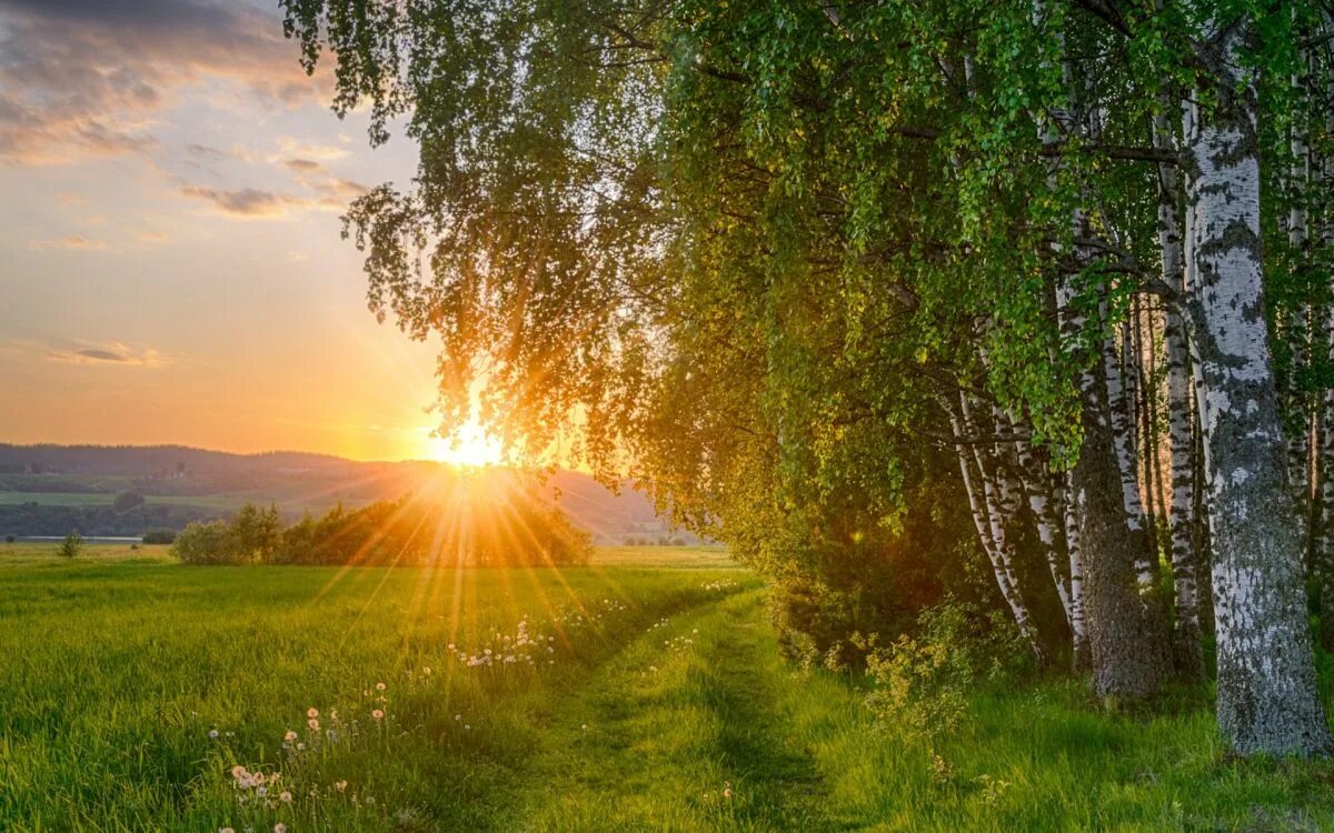 Солнечный пейзаж. Рассвет солнца. Красота русской природы. Летний пейзаж.