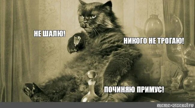 Никого не трогаю починяю примус цитата. Никого не трогаю починяю примус цитата