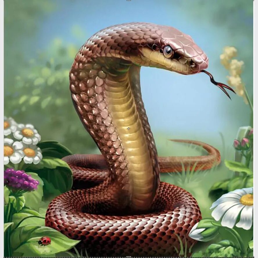 Скачай красивая кобра. Змея картина. Сказочные змеи. Змея для алмазной вышивки. Кобра картина.
